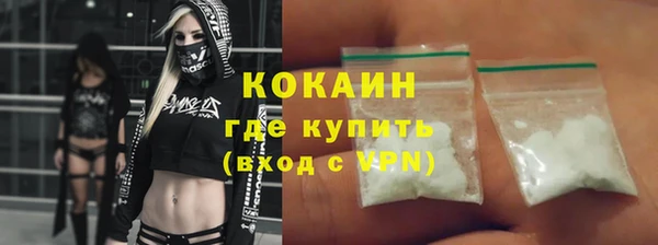 шишки Аркадак