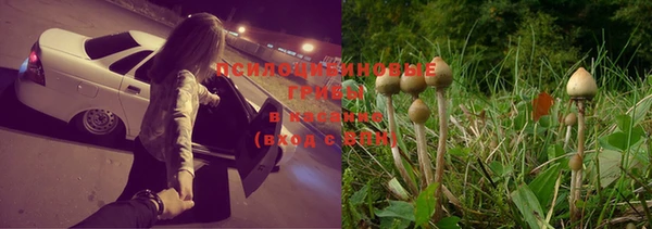 ECSTASY Балабаново